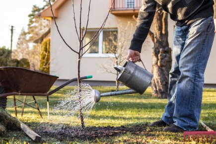 ����� ������: �������� � ������ ���� ������ � ����������� ����������