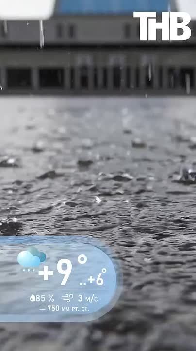 ������ ������� ����������, ����� � ��������� ����� � ���� ������� ���� ������������, ������ � ����� ��������