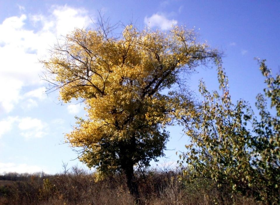 ��� ������������� ����� ������� ����� ��������� ������������