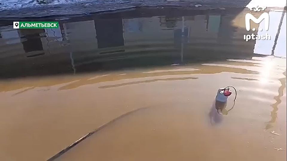 "������ ���", � ������� ����� ������� ��������, �������� ���������� ������