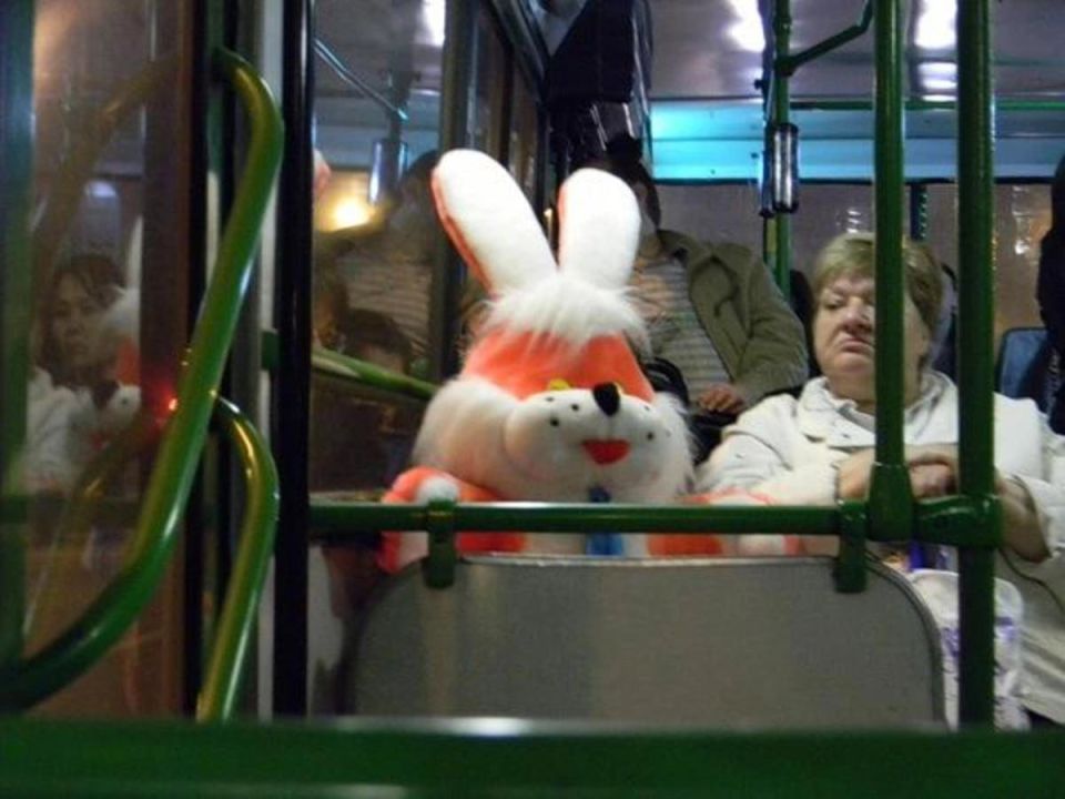 В общественном транспорте Казани за март поймали 302 безбилетника