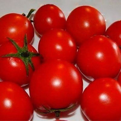 Томат Щелковский ранний: идеальный выбор для быстрого сбора урожая