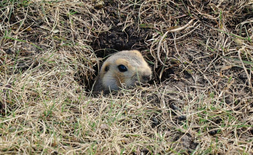 ������� �������� ����� � ����� ���������������������� ��������� �������� � ������