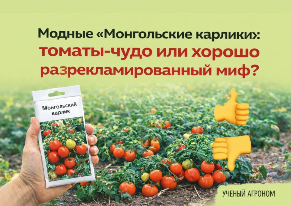 ������ ������������ ������: ���� ��� ������������� ������?