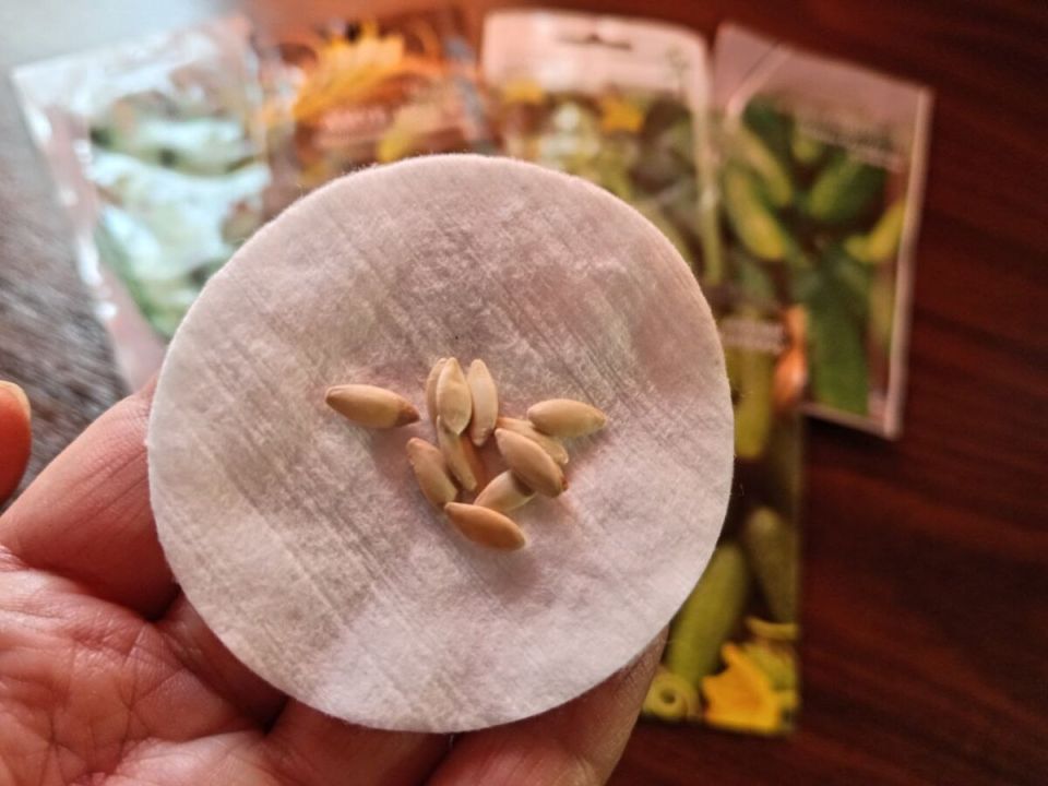 ���������� ����� �������: ������� ��������� �����