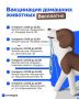 В жилых массивах ряда районов Казани проведут бесплатную вакцинацию домашних животных от бешенства