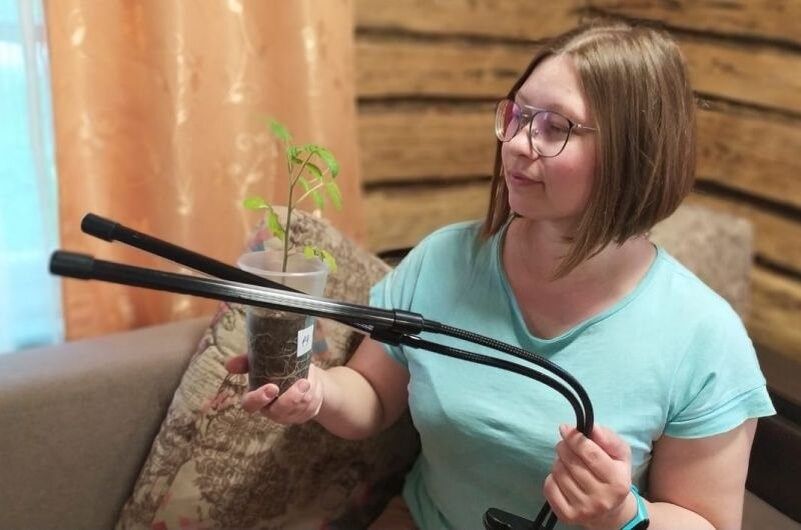 Как правильно выбрать фитолампу для рассады и комнатных растений