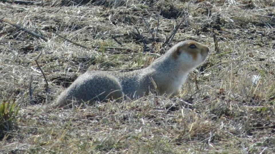 ����� �� ���������������� � ���������� ���������� � �������