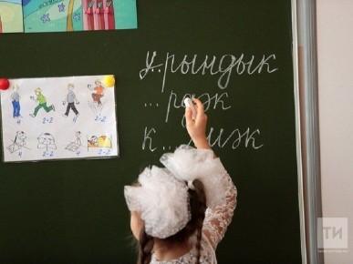 В Татарстане за три дня подали более 20 тысяч заявлений в первые классы