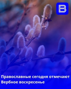 5 ������ 2026 ���� � �������� ����� �������� � ���������, ������� � ������ �������� ������� ������������