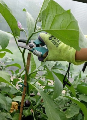 ��� ������� ������ � ���������� � ������� ������� ������� ������ ������