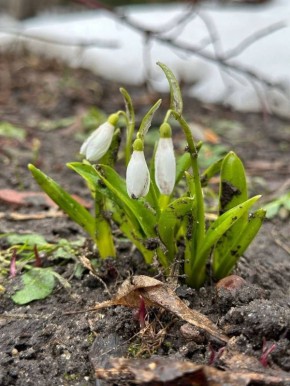 �� ������������ ���������� ���������� ���������� �������� ������ �����������