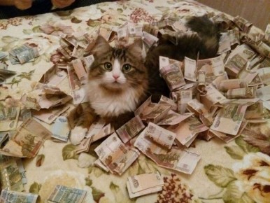 ������� �������� �� 15 ��� ������� � ���� ���