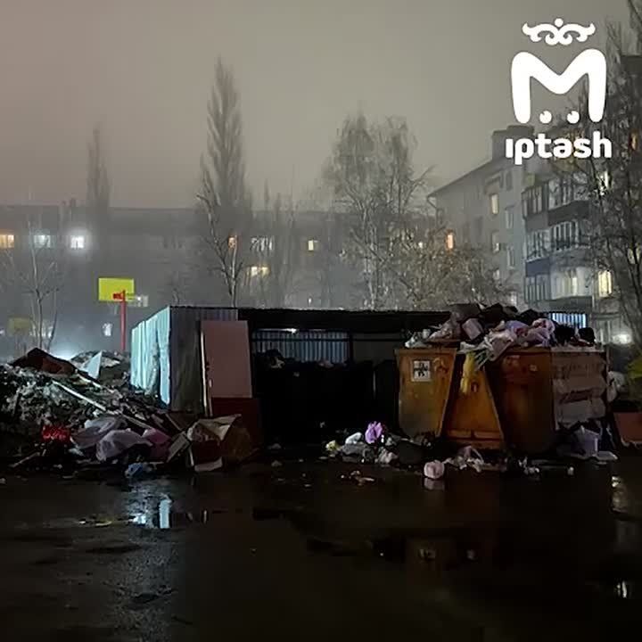 Казанцы жалуются на полчища крыс