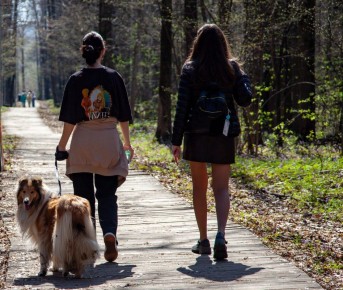 �������������� ������� ��������� ���������� ������� � ���������-����������� ����