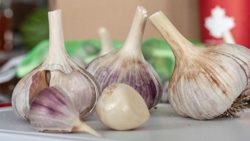 ��� ��������� ������ ������ �� ���������� ������: ������ ������� ��������