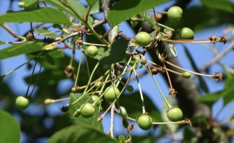 ��������� �������� ������ � ����� � ����