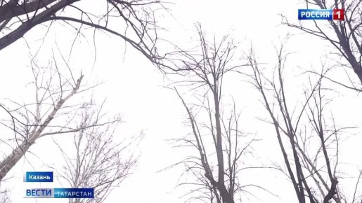 � ������ ���������� ��������� ��� �������� � ���� ��������� ���� �� ������� ���������