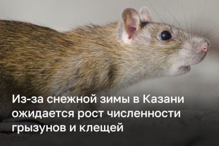 ������ ��������� � ������ � ��������� � ������� ��-�� ������� ����