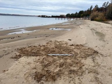 ������ ������� ����� � �������� �������� ������� ������������� ���������� ����������