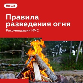 С приходом тепла дачники начинают приводить в порядок свои участки