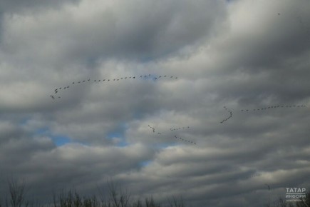 Погода в Казани 8 апреля: облачно, дождь и +9 °C