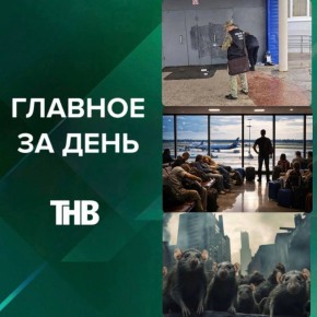 Крысы атакуют Казань, паводок топит районы, трагедия у школы, скандал с рейсом, онковакцины по ОМС и миллиардные убытки бизнеса | ГЛАВНОЕ ЗА ДЕНЬ