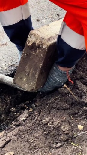 ���� ������ ����� �� ������� ����� �������� ������ � ��� �����������