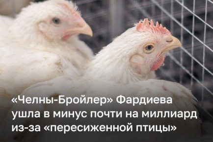 Компания «Челны-Бройлер» Ильшата Фардиева ушла в минус почти на миллиард из-за «пересиженной птицы»