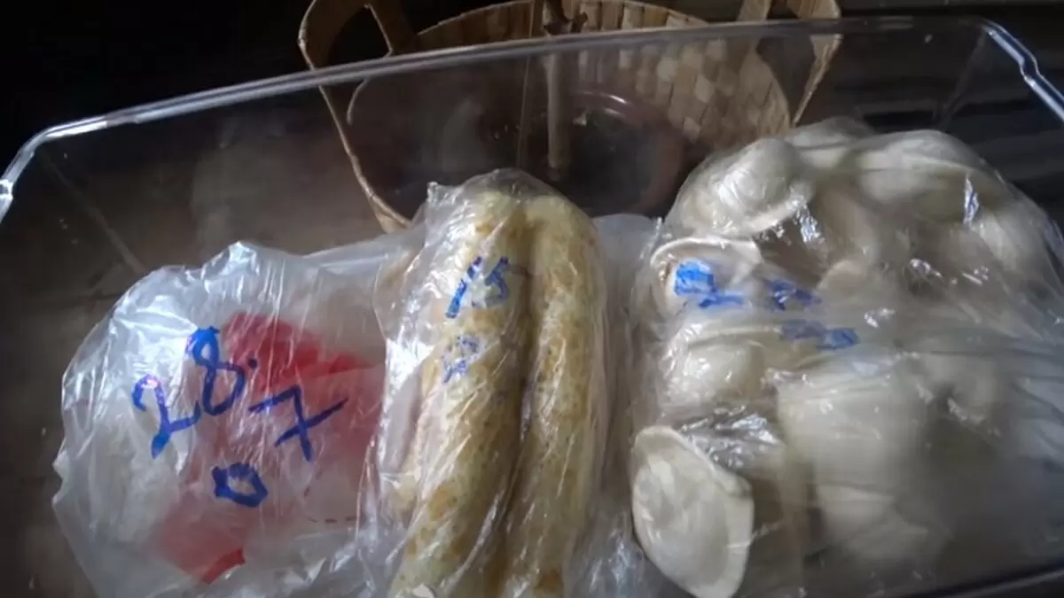 Порядок в холодильнике без лишних усилий: секреты успешной организации