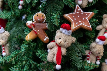 ������� ������� � ���������: ��� ������� ���������?