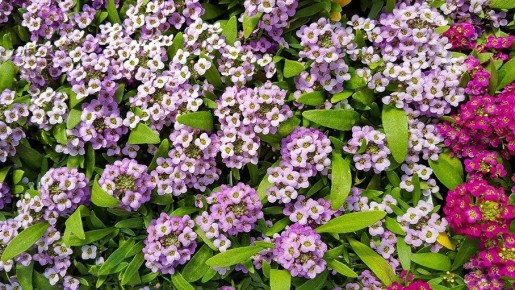 ������ ������ �����: ��� ������� ����� ������������ ������ ������ ����� ��������