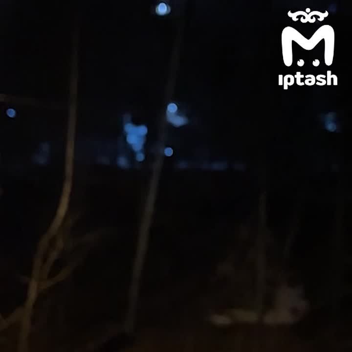 ������ ������ � ��������� � ������