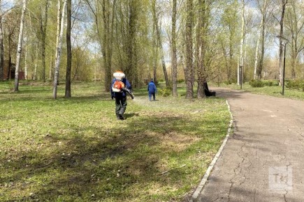 � ������ ���� � ���������� ������������� 35 ������ ������