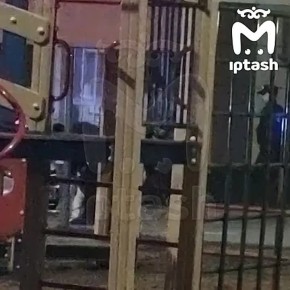 Людей с оружием на Тэцевской было двое