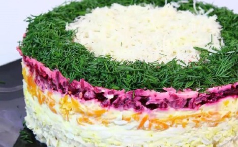 ����� ��������: ��� ������� ������ �� ���������