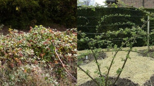 ��� ������� ������� ������� ����������� ������ �� ���� �����