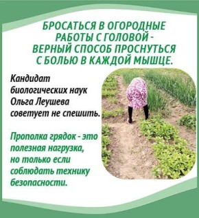 Прополка грядок — это полезная нагрузка, но только если соблюдать технику безопасности