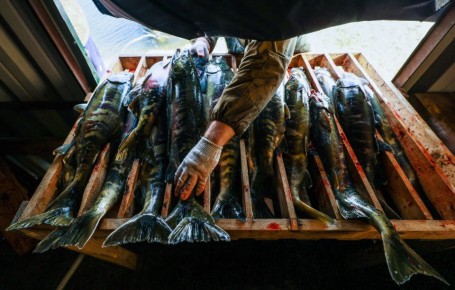 �������������� ���������� ���� ������ ��������� �� 250 ����� ���� � ���� ����