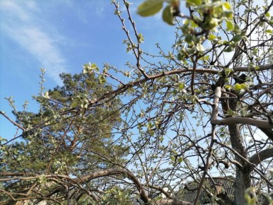 ����������� � ����: ��� ������ � ���