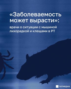 В РТ вот-вот начнутся обработки территорий от клещей и грызунов