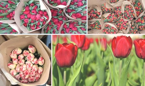 ��� ��������� �������� ��������� �� ��� ������: ������� ������ � �������