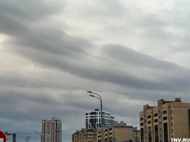 Погода против планов: дождь и ветер накануне выходных