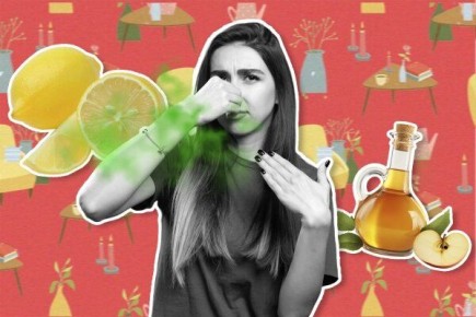 ��� ������ � ��� ����� ������ ������ �� ��������: 5 ������� �������