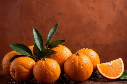 �������������� ���� ������ ������ ��������� ������ �� ������� ����������