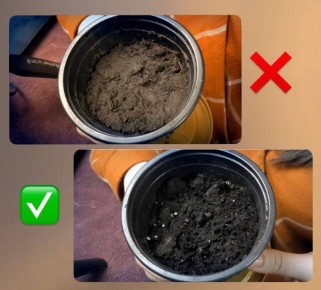 ��� ����������� ��������� � ����� � ������ ������: ������ ����������� ���������