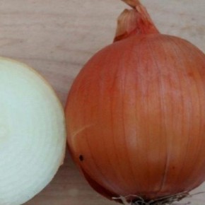 Лук Зевс: на пути к идеальному урожаю