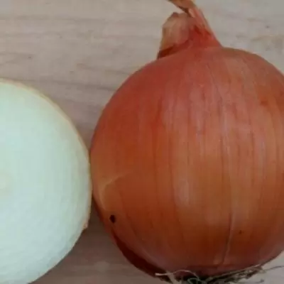 Лук Зевс: на пути к идеальному урожаю