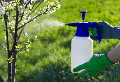 Ошибки в применении пестицидов на даче