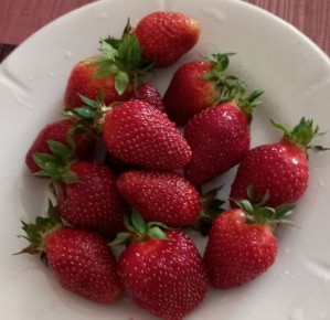 ��� ��������� ����������� ����� ������ ���������: ������ � �������